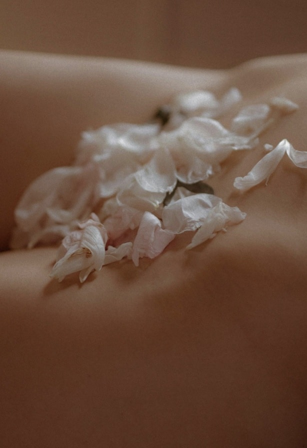 Tulipes sur les parties intimes d une femme lifting du pubis | Dr aimard Lyon